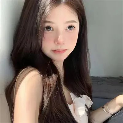 恋恋飞翔